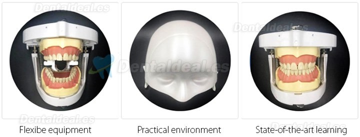 Jingle JG-A1 Phantom Head For Dental Students Dental Simulation Unit